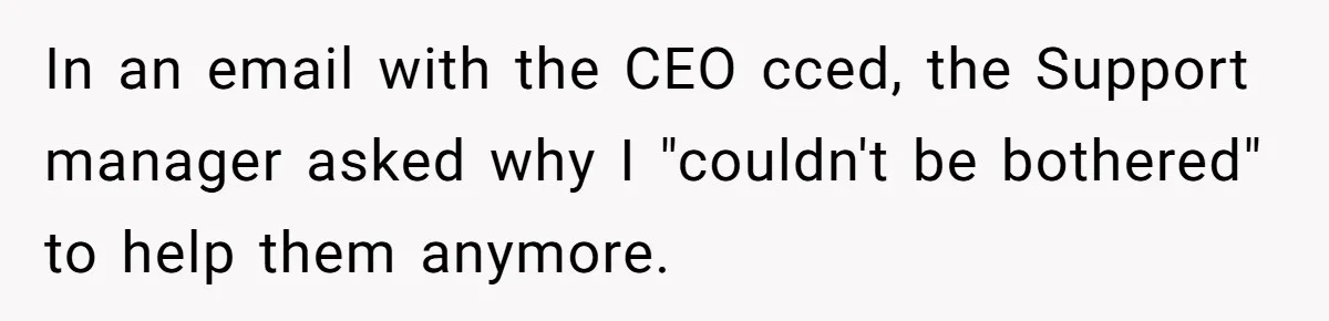 In an email with the CEO cced, the Support manager asked why I "couldn't be bothered" to help them anymore.
