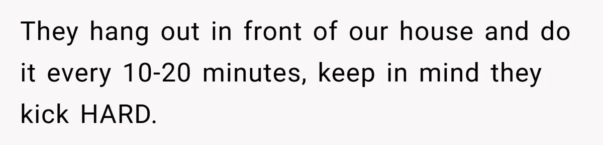 They hang out in front of our house and do it every 10-20 minutes, keep in mind they kick HARD.