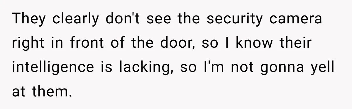 They clearly don't see the security camera right in front of the door, so I know their intelligence is lacking, so I'm not gonna yell at them.