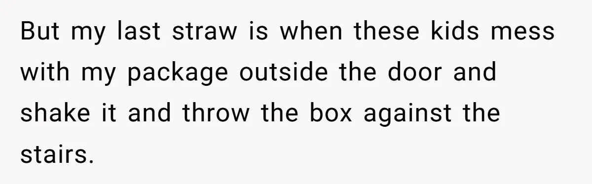 But my last straw is when these kids mess with my package outside the door and shake it and throw the box against the stairs.
