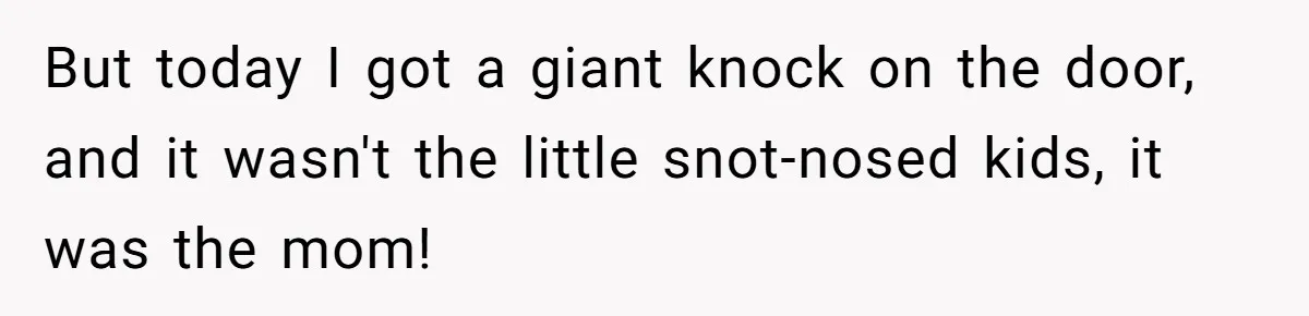 But today I got a giant knock on the door, and it wasn't the little snot-nosed kids, it was the mom!