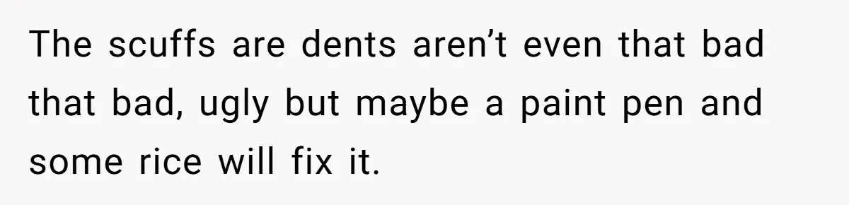 The scuffs are dents aren’t even that bad that bad, ugly but maybe a paint pen and some rice will fix it.