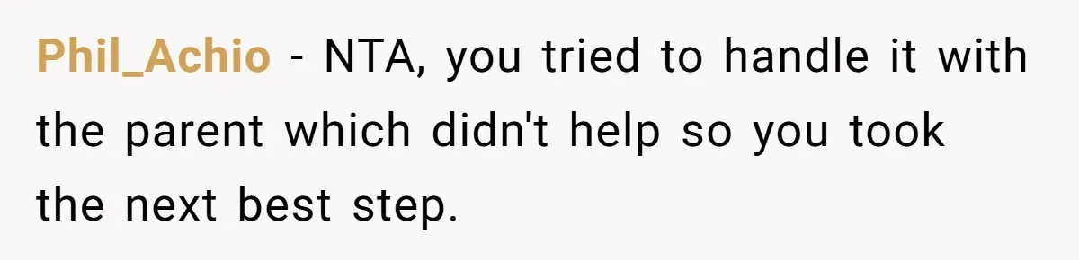 Phil_Achio − NTA, you tried to handle it with the parent which didn't help so you took the next best step.