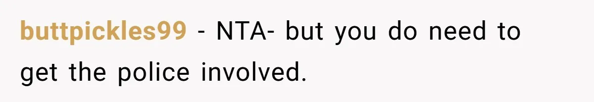 buttpickles99 − NTA- but you do need to get the police involved.