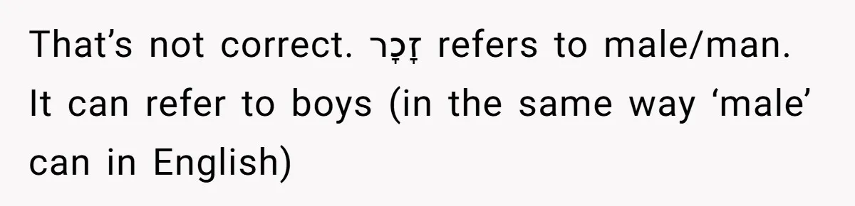 That’s not correct. זָכָר refers to male/man. It can refer to boys (in the same way ‘male’ can in English)