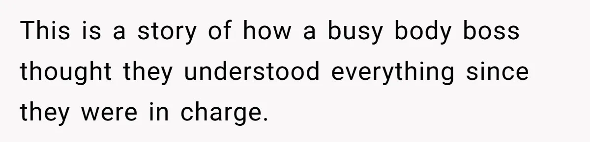 Micromanaging Boss Demands Exact Break Times, Employee Obeys Perfectly, The Whole System Backfires This is a story of how a busy body boss thought they understood everything since they were in charge.
