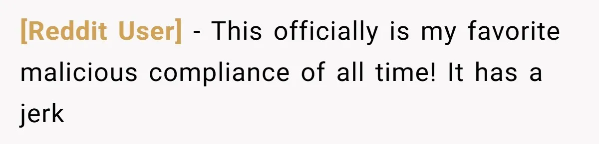 [Reddit User] − This officially is my favorite malicious compliance of all time! It has a jerk