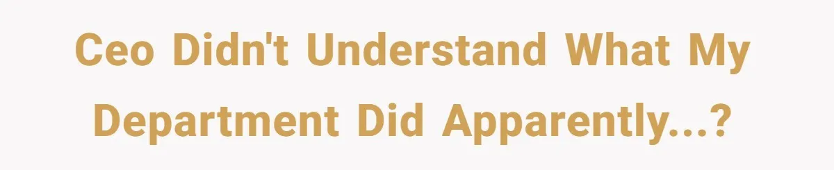CEO didn't understand what my department did apparently...?