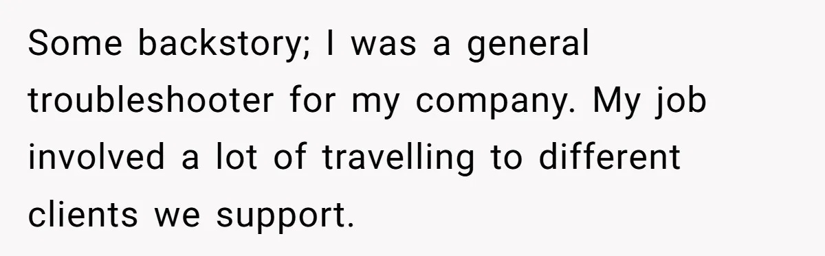 Some backstory; I was a general troubleshooter for my company. My job involved a lot of travelling to different clients we support.