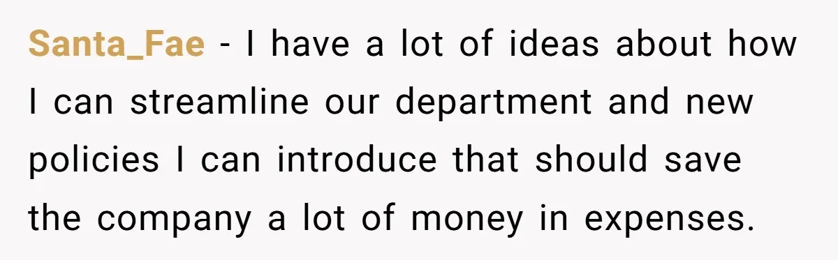Santa_Fae − I have a lot of ideas about how I can streamline our department and new policies I can introduce that should save the company a lot of money...