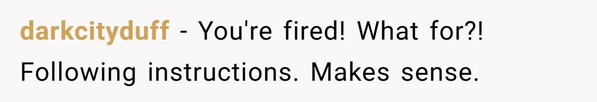 darkcityduff − You're fired! What for?! Following instructions. Makes sense.