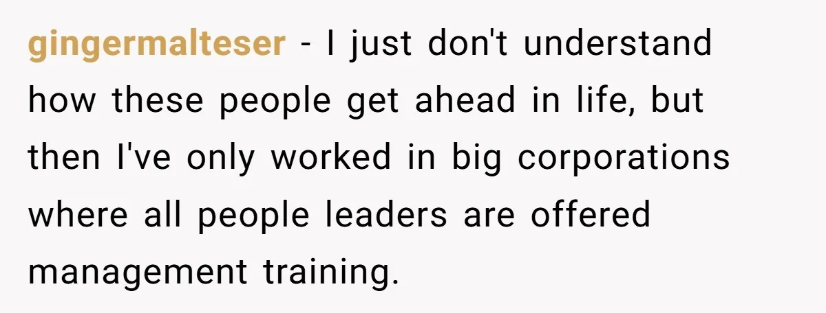 gingermalteser − I just don't understand how these people get ahead in life, but then I've only worked in big corporations where all people leaders are offered management training.