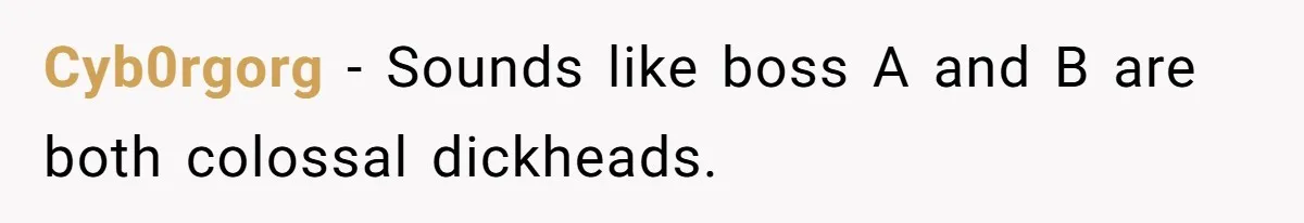 Cyb0rgorg − Sounds like boss A and B are both colossal dickheads.
