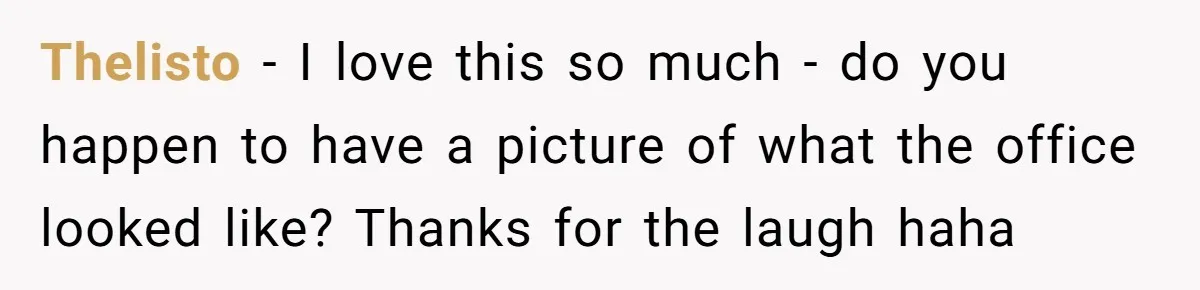 Thelisto − I love this so much - do you happen to have a picture of what the office looked like? Thanks for the laugh haha