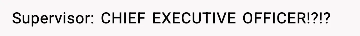 Supervisor: CHIEF EXECUTIVE OFFICER!?!?