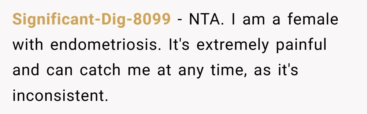 Significant-Dig-8099 − NTA. I am a female with endometriosis. It's extremely painful and can catch me at any time, as it's inconsistent.
