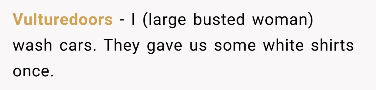Vulturedoors - I (large busted woman) wash cars. They gave us some white shirts once.