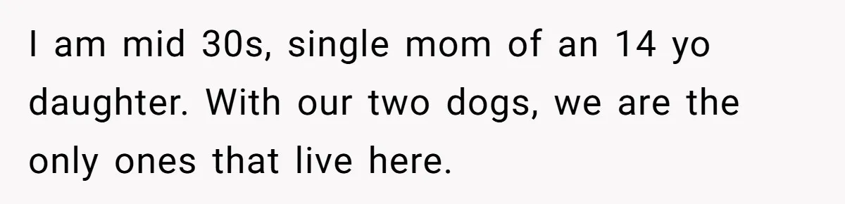I am mid 30s, single mom of an 14 yo daughter. With our two dogs, we are the only ones that live here.