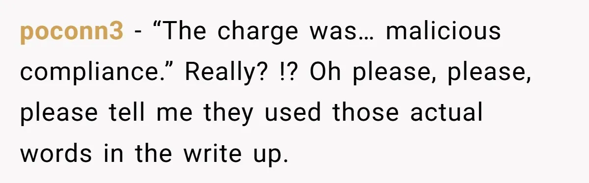 poconn3 - “The charge was… malicious compliance.” Really? !? Oh please, please, please tell me they used those actual words in the write up.