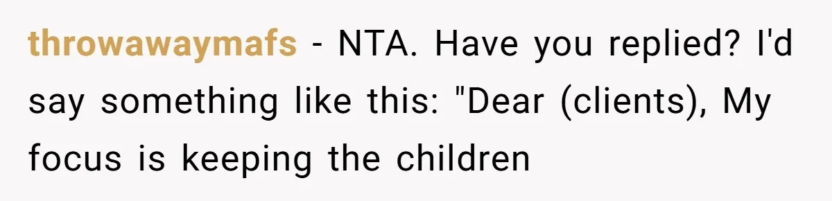 throwawaymafs - NTA. Have you replied? I'd say something like this: "Dear (clients), My focus is keeping the children