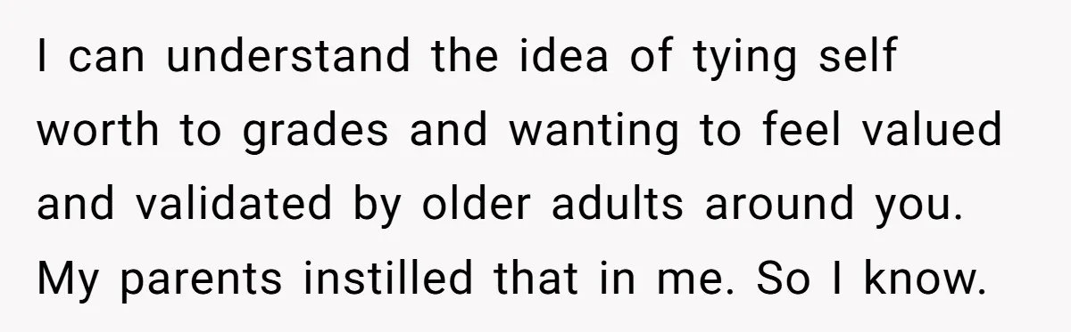 I can understand the idea of tying self worth to grades and wanting to feel valued and validated by older adults around you. My parents instilled that in me. So...
