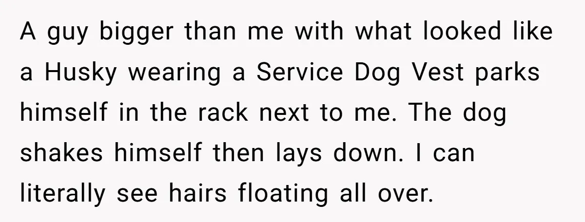 A guy bigger than me with what looked like a Husky wearing a Service Dog Vest parks himself in the rack next to me. The dog shakes himself then lays...
