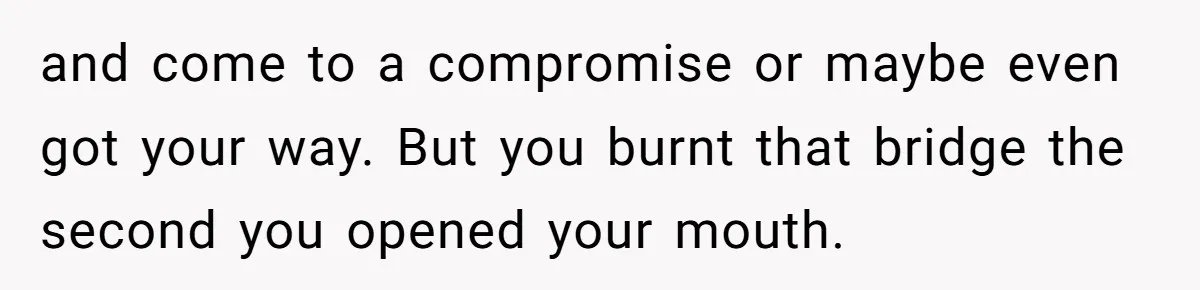 and come to a compromise or maybe even got your way. But you burnt that bridge the second you opened your mouth.