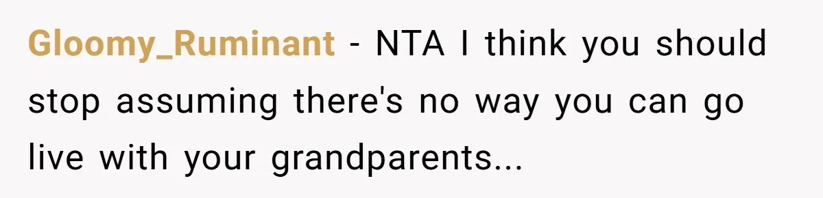 Gloomy_Ruminant - NTA I think you should stop assuming there's no way you can go live with your grandparents...
