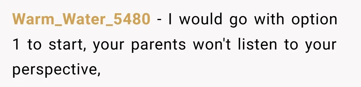 Warm_Water_5480 - I would go with option 1 to start, your parents won't listen to your perspective,