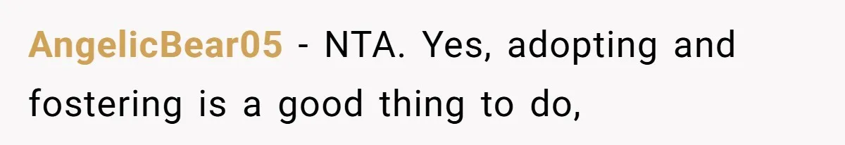 AngelicBear05 - NTA. Yes, adopting and fostering is a good thing to do,