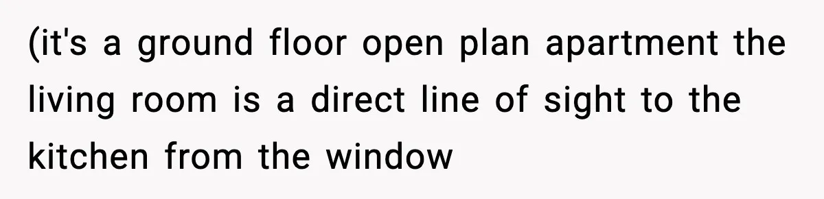 Woman Calls Ex-Roommate When Cops Come Knocking, Gets Accused Of “Betrayal” (it's a ground floor open plan apartment the living room is a direct line of sight to the kitchen from the window