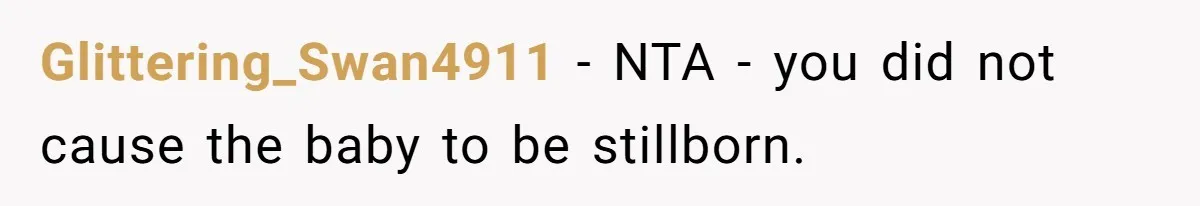 Glittering_Swan4911 − NTA - you did not cause the baby to be stillborn.