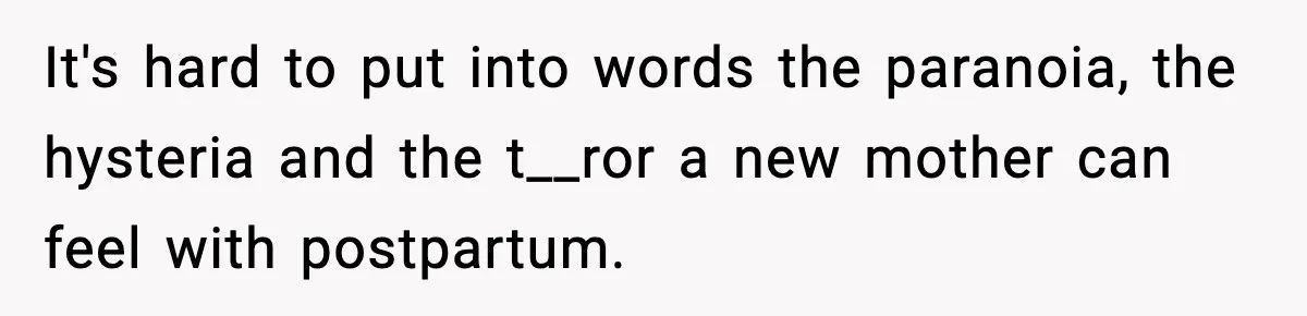 It's hard to put into words the paranoia, the hysteria and the t__ror a new mother can feel with postpartum.