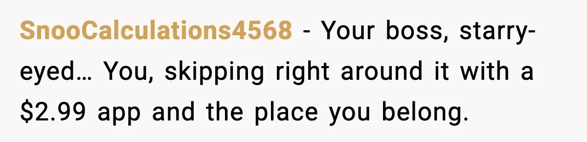 SnooCalculations4568 - Your boss, starry-eyed… You, skipping right around it with a $2.99 app and the place you belong.