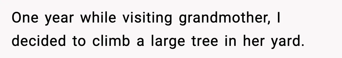 One year while visiting grandmother, I decided to climb a large tree in her yard.