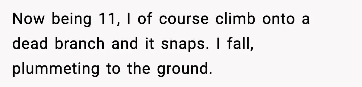 Now being 11, I of course climb onto a dead branch and it snaps. I fall, plummeting to the ground.