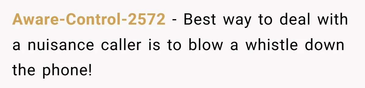 Aware-Control-2572 - Best way to deal with a nuisance caller is to blow a whistle down the phone!