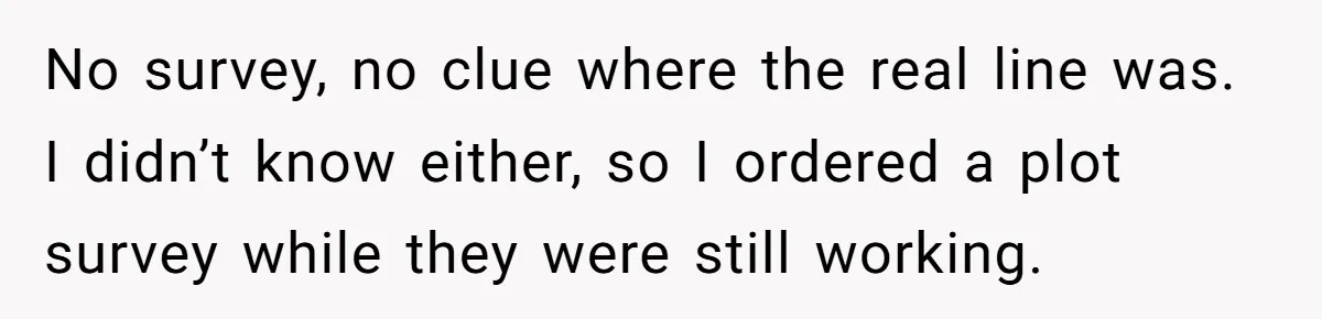 No survey, no clue where the real line was. I didn’t know either, so I ordered a plot survey while they were still working.