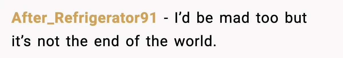 After_Refrigerator91 − I’d be mad too but it’s not the end of the world.