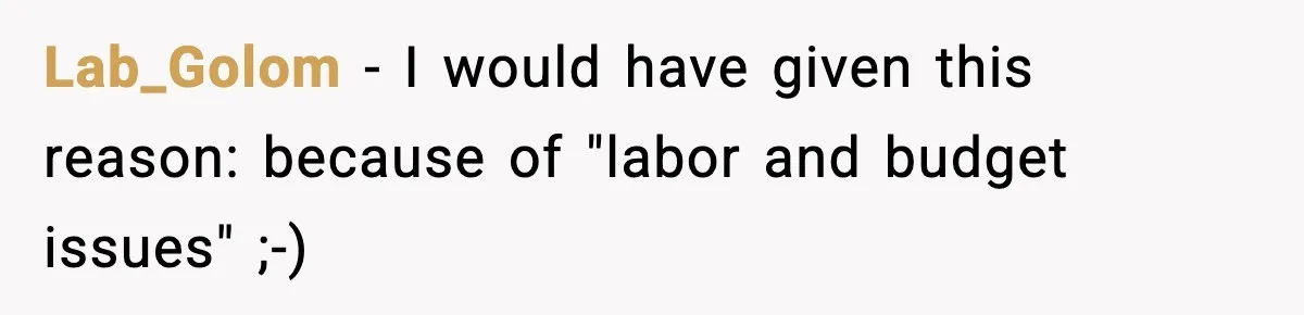 Lab_Golom − I would have given this reason: because of "labor and budget issues" ;-)