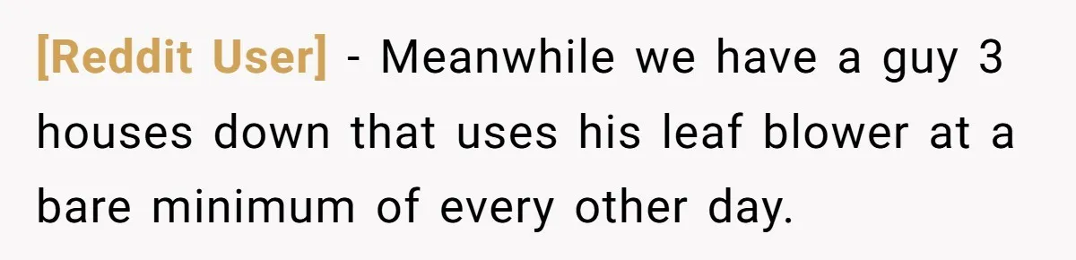 [Reddit User] - Meanwhile we have a guy 3 houses down that uses his leaf blower at a bare minimum of every other day.