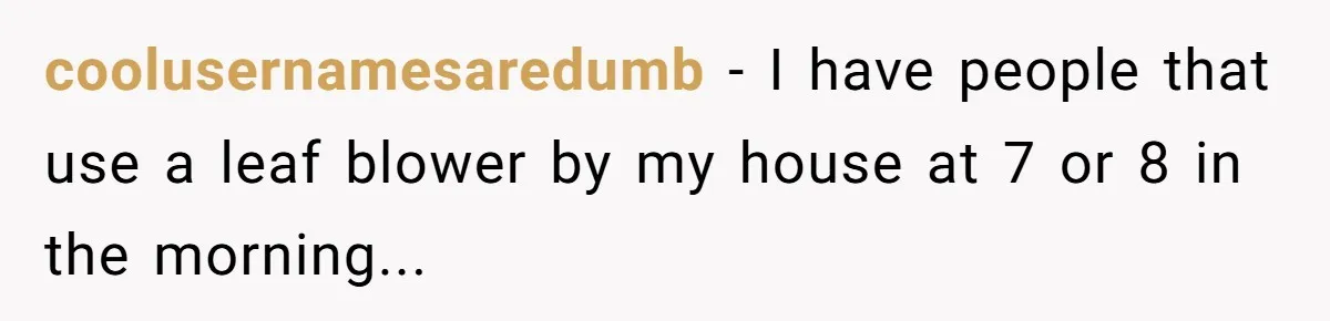 coolusernamesaredumb - I have people that use a leaf blower by my house at 7 or 8 in the morning...