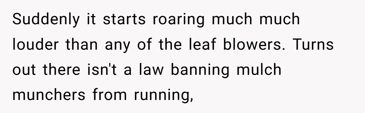 Suddenly it starts roaring much much louder than any of the leaf blowers. Turns out there isn't a law banning mulch munchers from running,