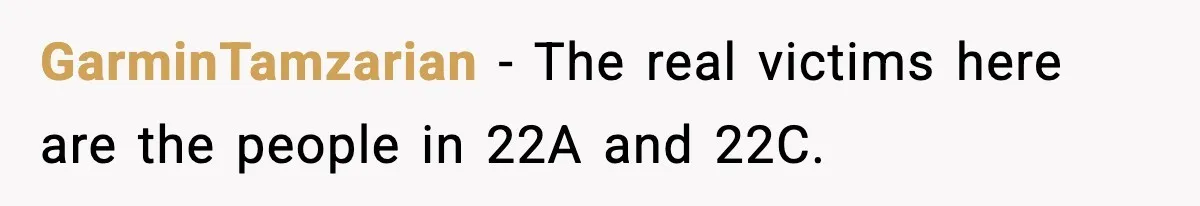 GarminTamzarian - The real victims here are the people in 22A and 22C.