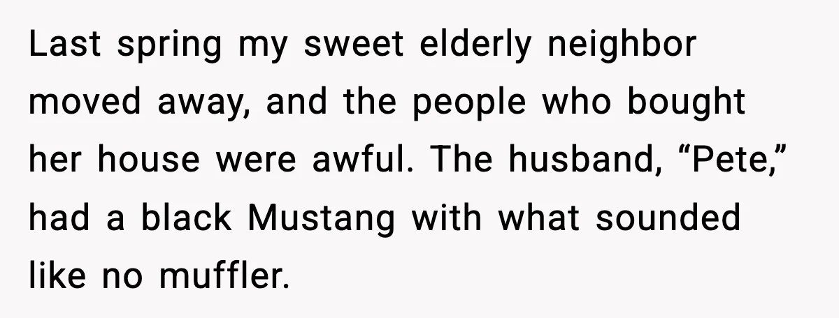 Seat for seat, decibel for decibel: how one quiet neighbor humbled a car bro Last spring my sweet elderly neighbor moved away, and the people who bought her house were awful. The husband, “Pete,” had a black Mustang with what sounded like no muffler.