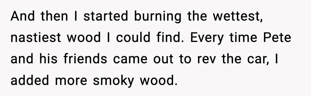 Seat for seat, decibel for decibel: how one quiet neighbor humbled a car bro And then I started burning the wettest, nastiest wood I could find. Every time Pete and his friends came out to rev the car, I added more smoky wood.