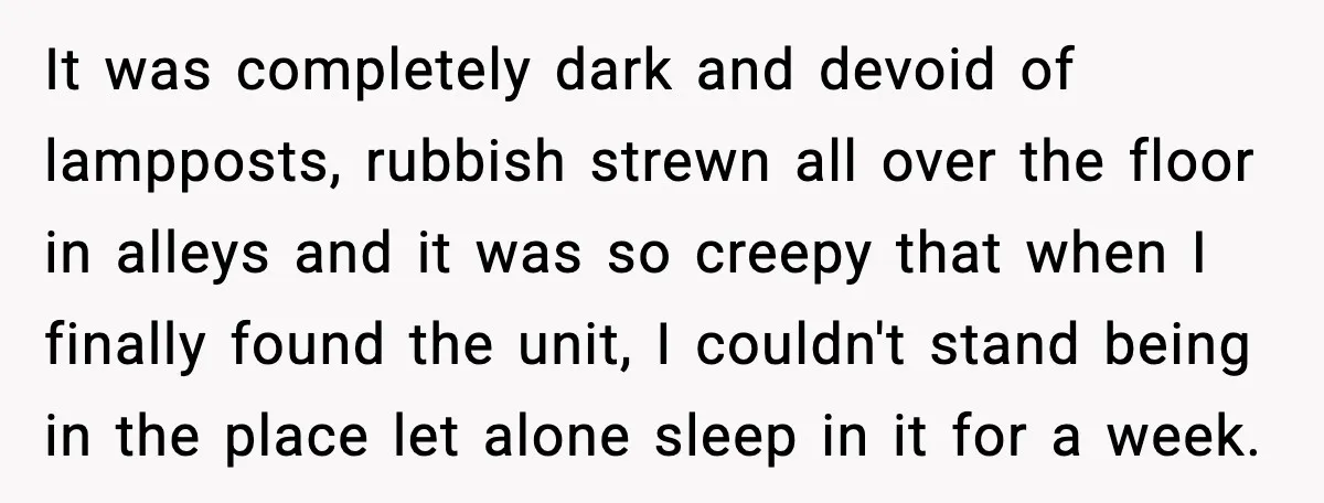 It was completely dark and devoid of lampposts, rubbish strewn all over the floor in alleys and it was so creepy that when I finally found the unit, I couldn't...