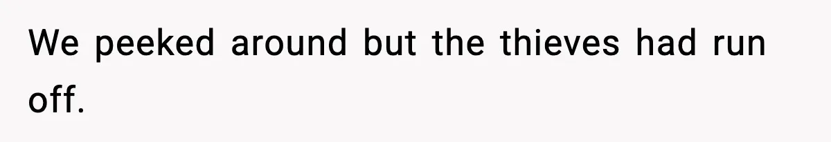 Thieves Try To Steal This Man's Car, But Somehow He “Steals” Their Stolen Honda Instead We peeked around but the thieves had run off.