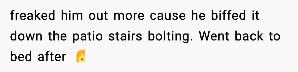 Thieves Try To Steal This Man's Car, But Somehow He “Steals” Their Stolen Honda Instead freaked him out more cause he biffed it down the patio stairs bolting. Went back to bed after 🤷♀️