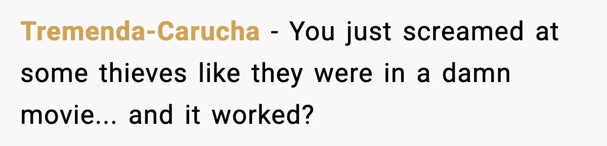 Thieves Try To Steal This Man's Car, But Somehow He “Steals” Their Stolen Honda Instead Tremenda-Carucha − You just screamed at some thieves like they were in a damn movie... and it worked?